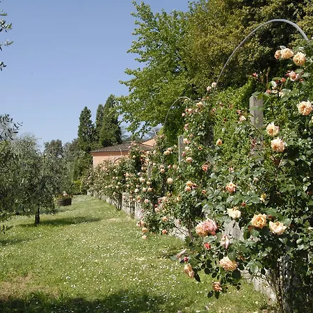 Gospodarstwo agroturystyczne La Chiusa Di Nanni